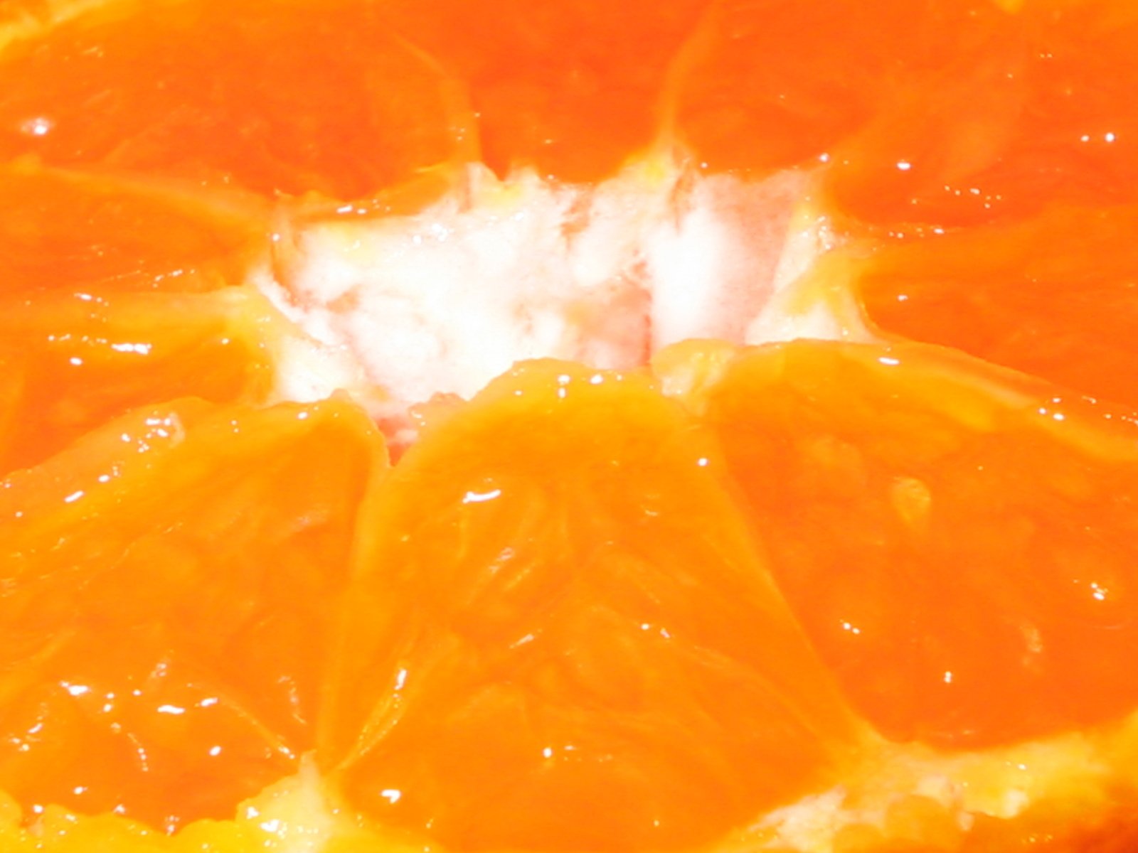 close up of orange cut in half with water on it