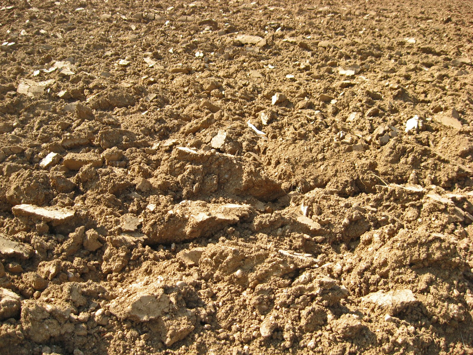 the remains of a well buried stone and gravel area