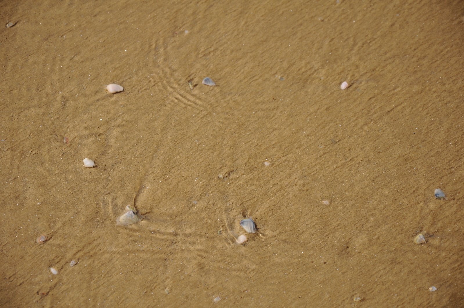 a view of the sand and the water as it comes out