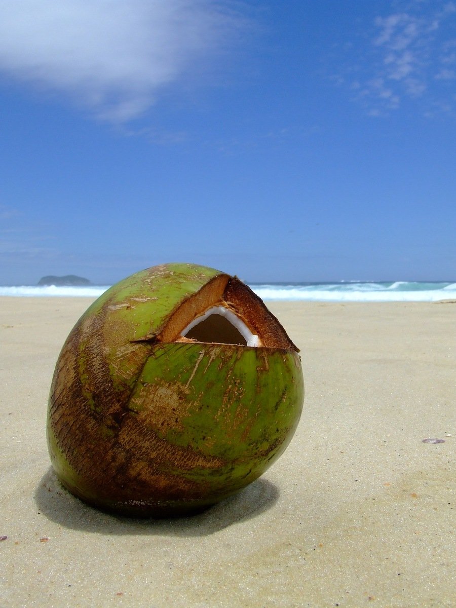 an open coconut on the beach has been split open