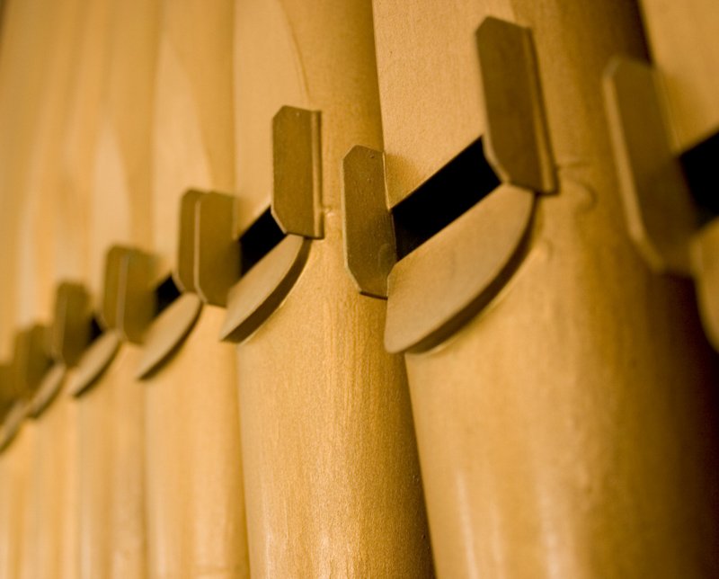 the wall is lined with row of baseball bats