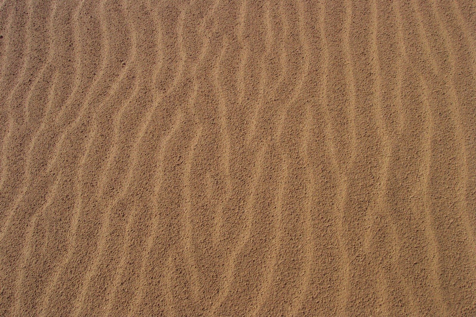 the bottom view of a sand dune has a very wavy line
