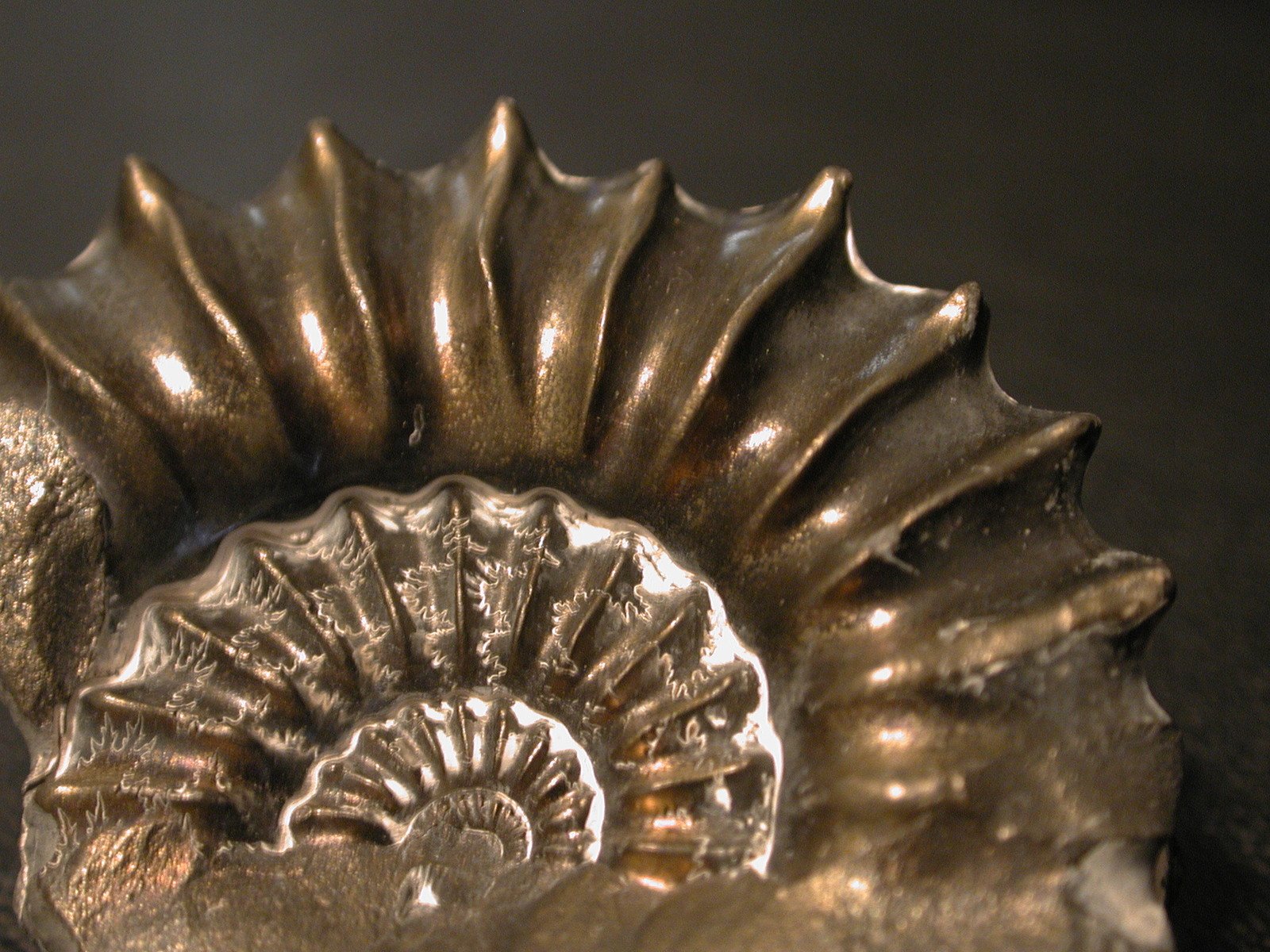 a metal decoration in the form of an ornate piece