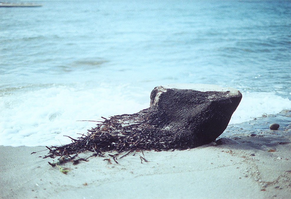 there is a rock sitting on the beach