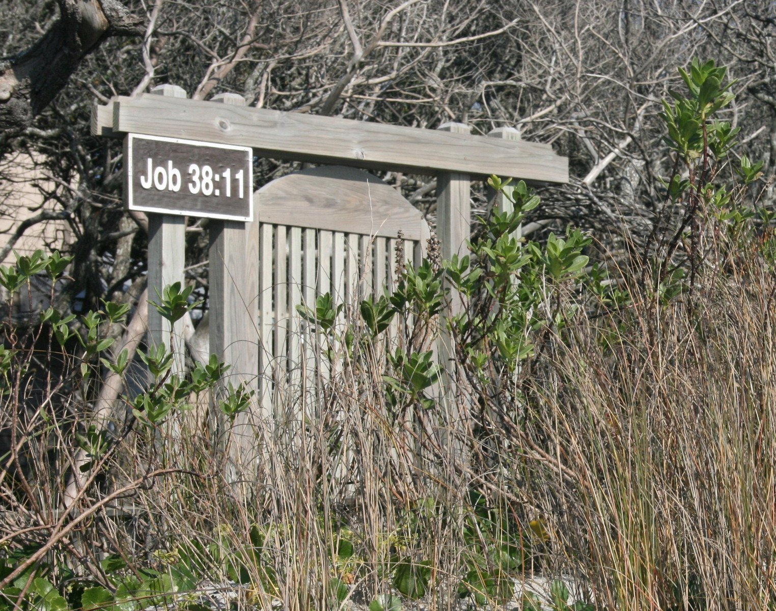 an outside view of an outhouse in the woods