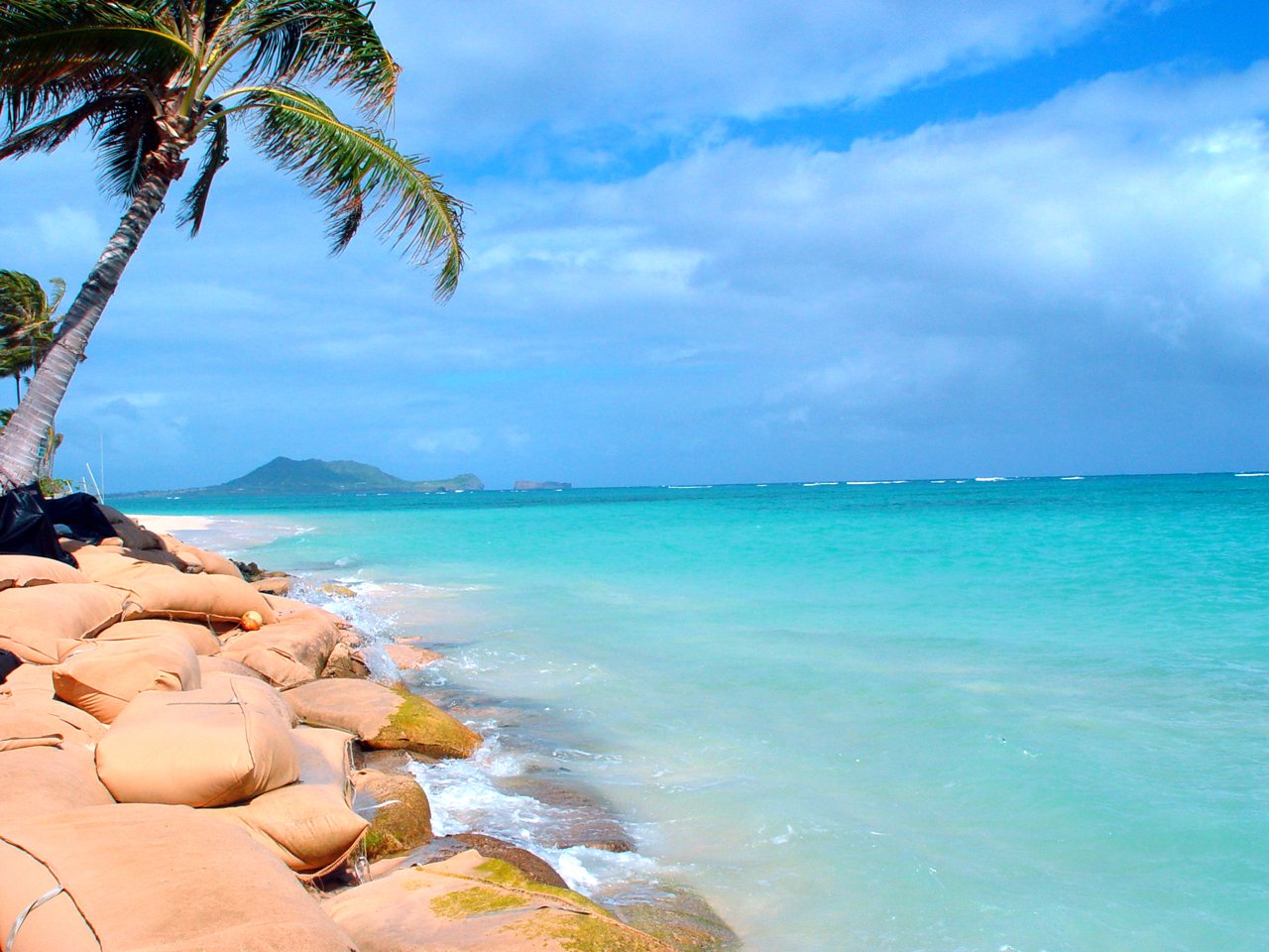 two people are lying down on the beach under palm trees