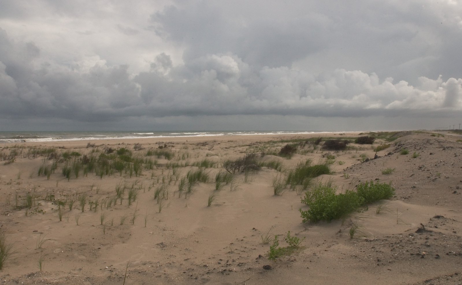 a beach with grass growing on the ground under a cloudy sky