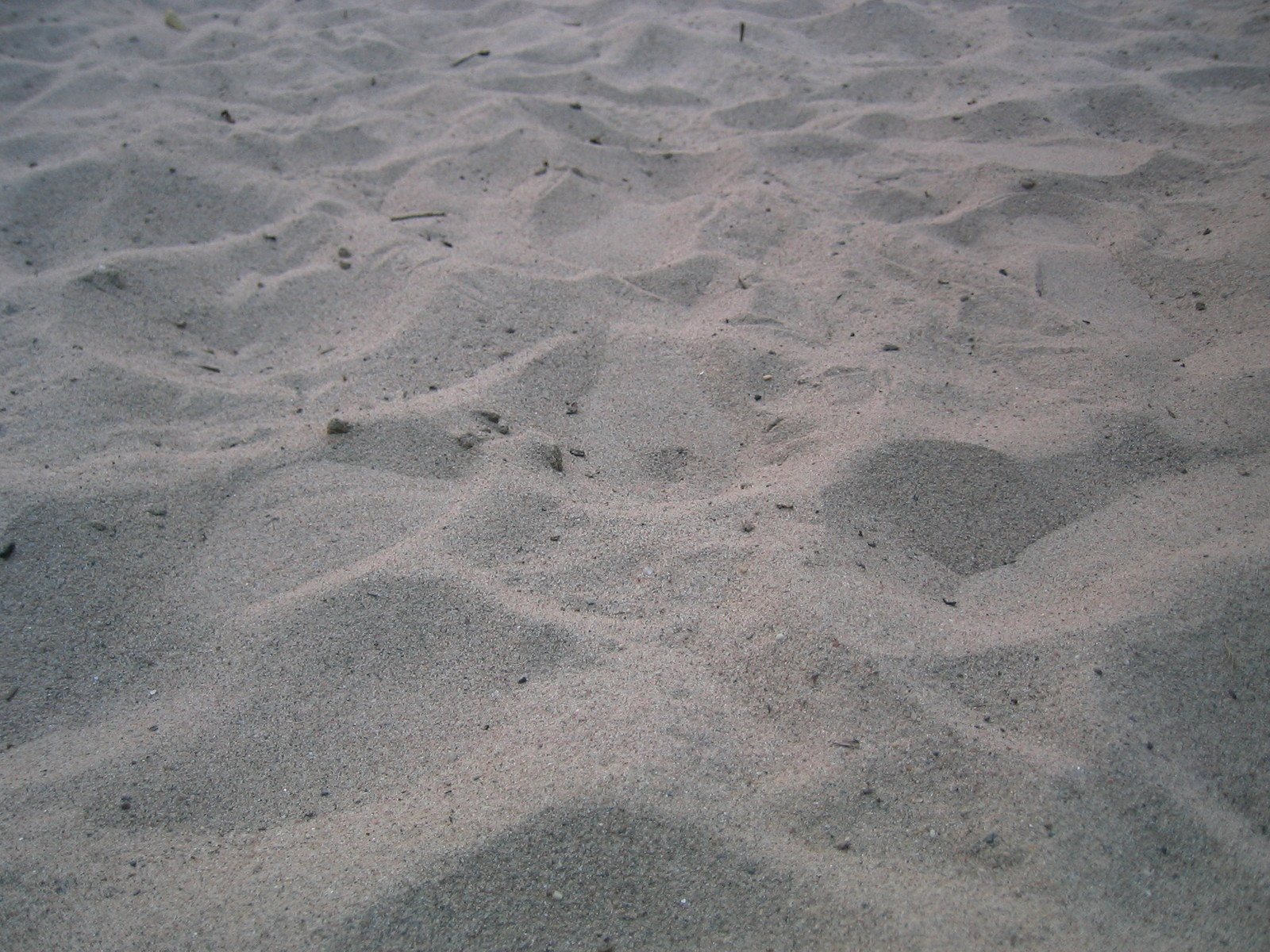 some sand and rocks on a beach in the ocean