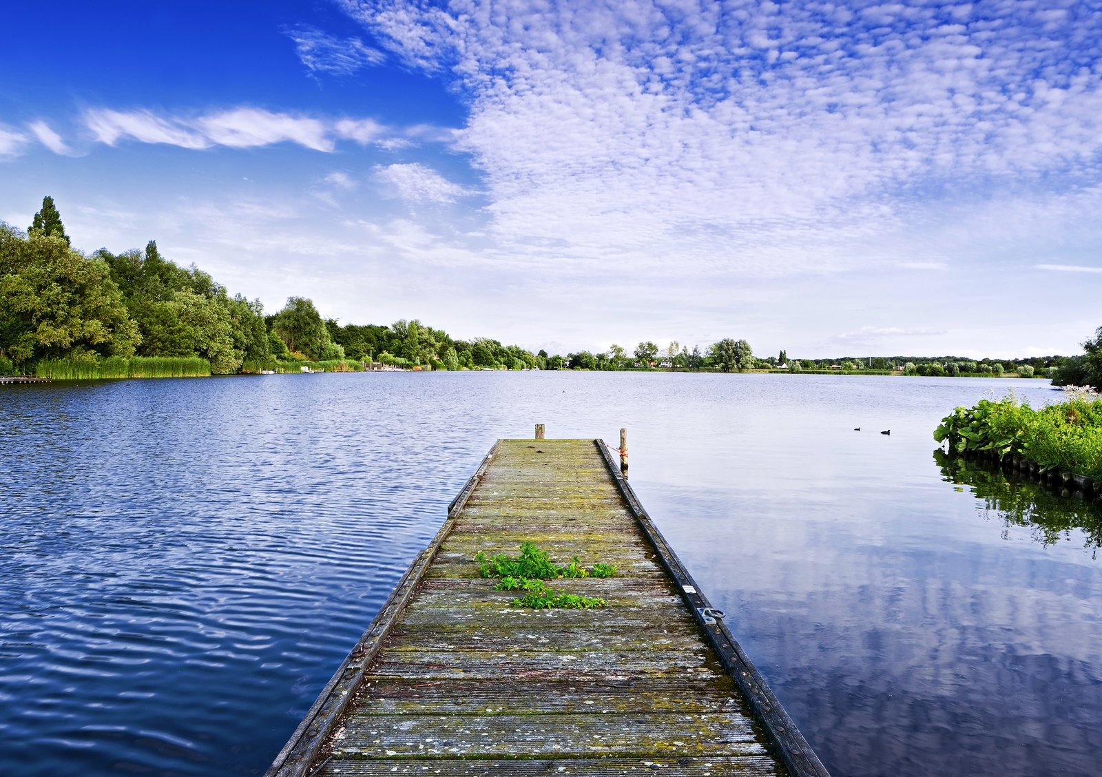 a view from the end of a pier of a lake