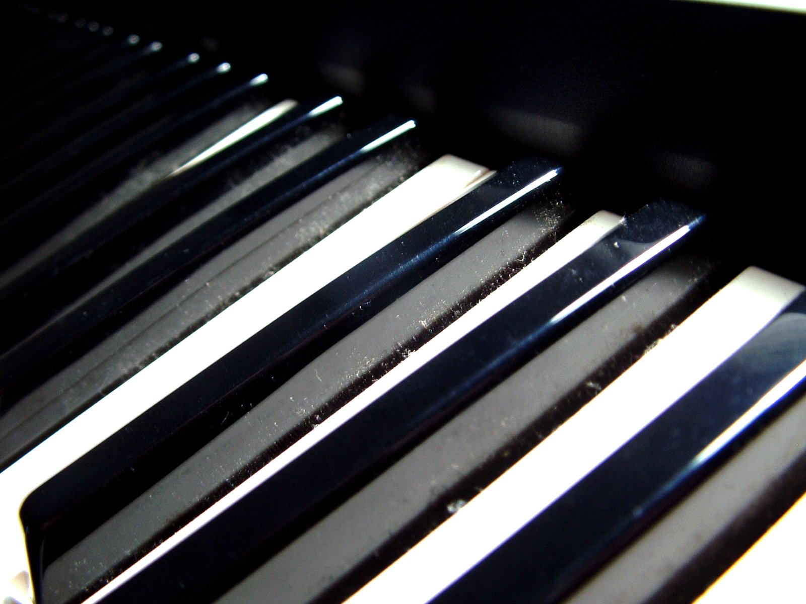 a view of the keys on the piano