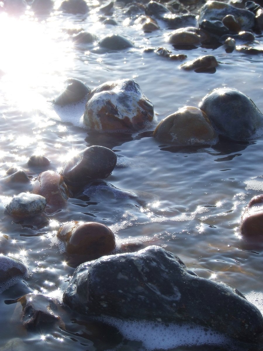 the sun shining on a stream of water filled with rocks