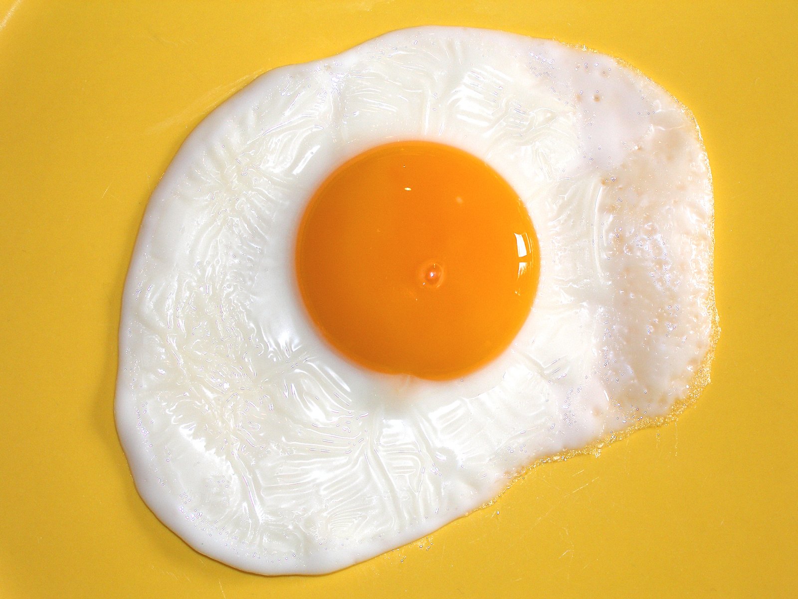 a fried egg on top of an orange and yellow plate