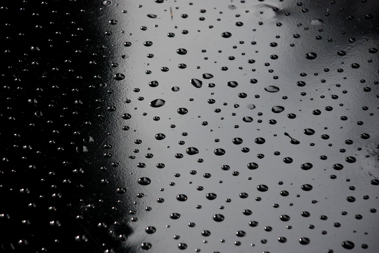 several droplets of water on a dark surface