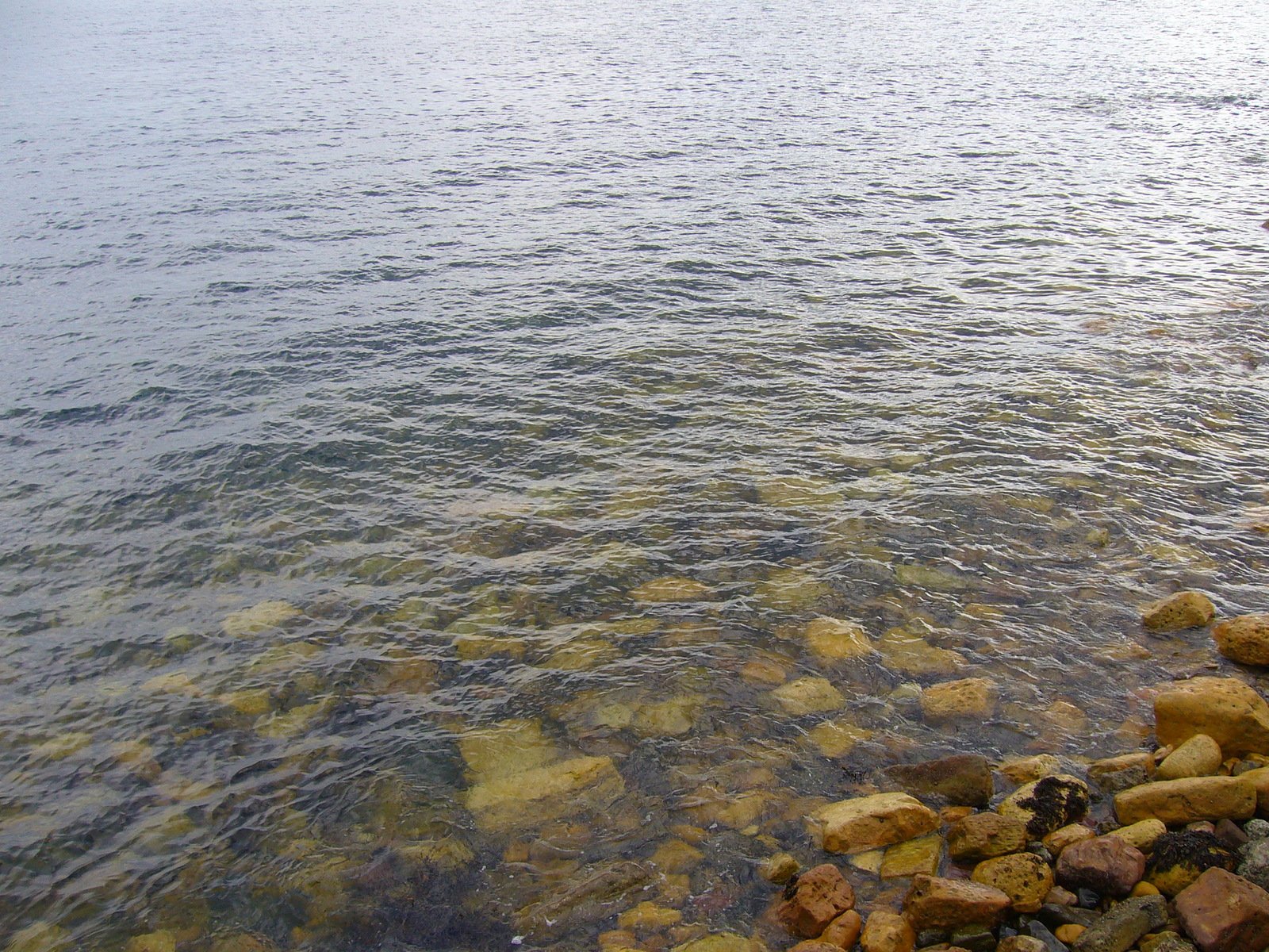 some large rocks sitting on top of a rock beach