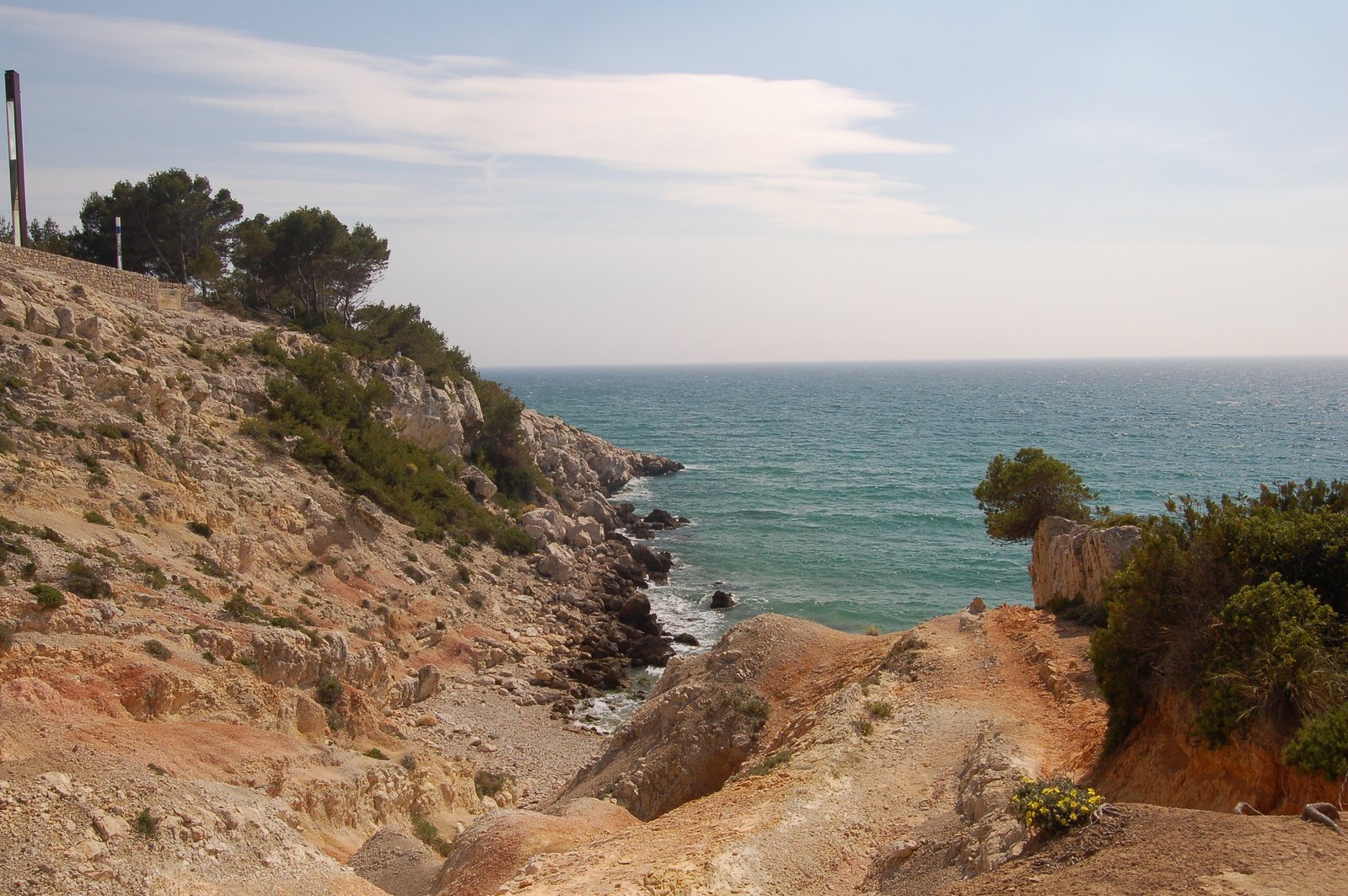 a beach with trees and water off the shore