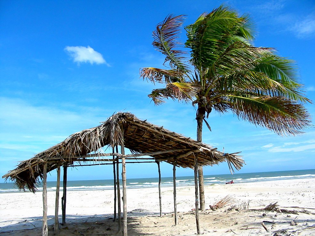 an umbrella made from wooden sticks stands under the trees