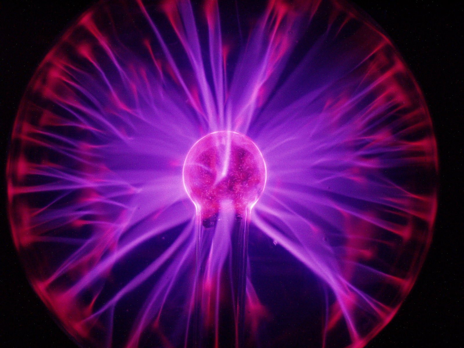 a pink and purple sphere that is shaped like a flower