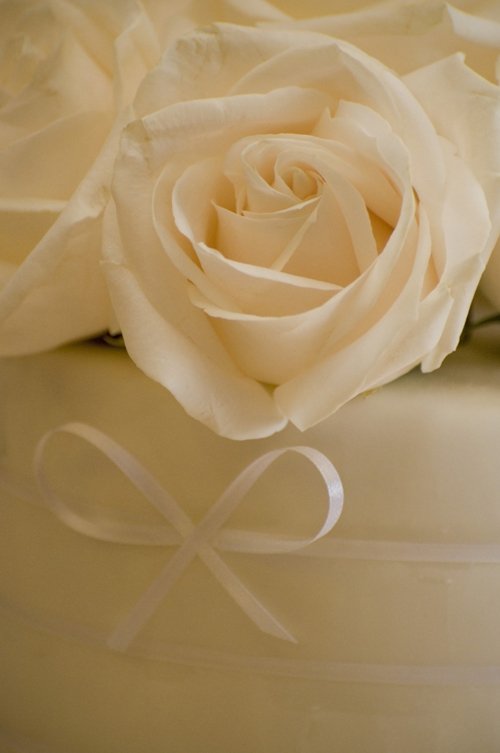 two white roses sit in the center of the cake
