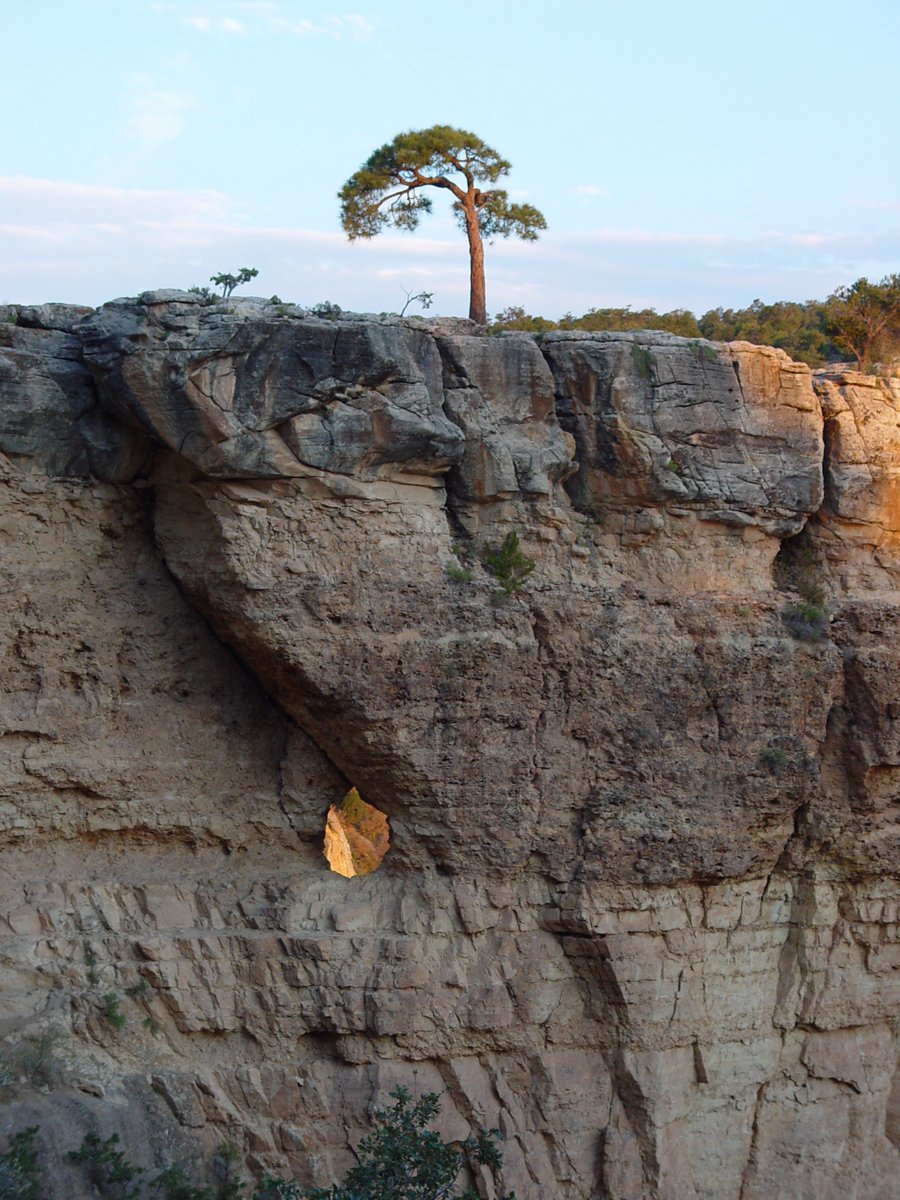 there is a rock cliff on the side with yellow leaves hanging on it