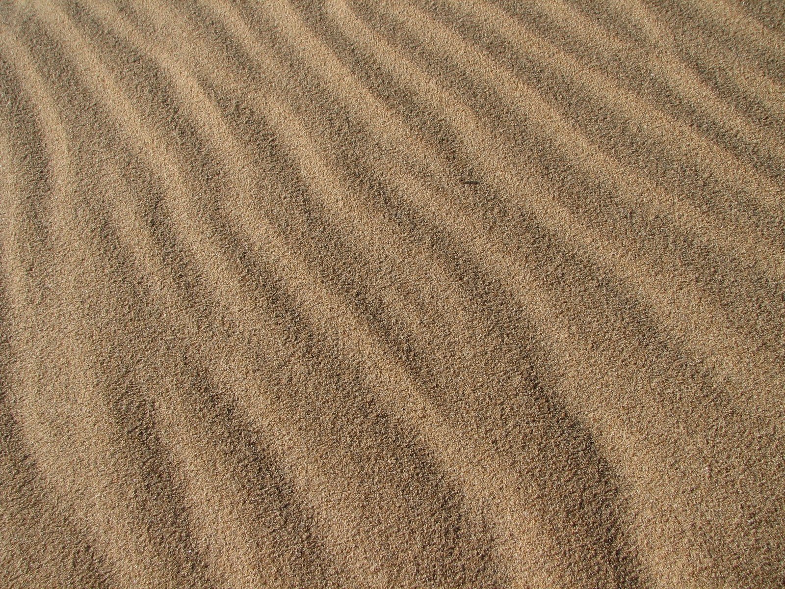 wavy pattern on a sand dune with lines