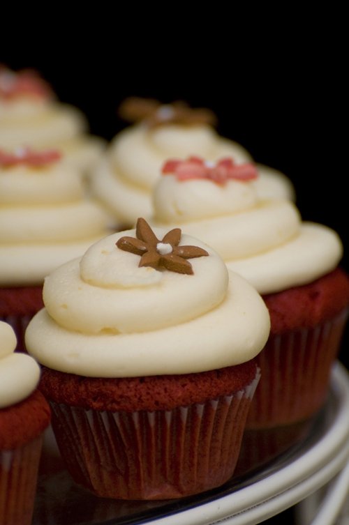 a close up of several cup cakes on a plate