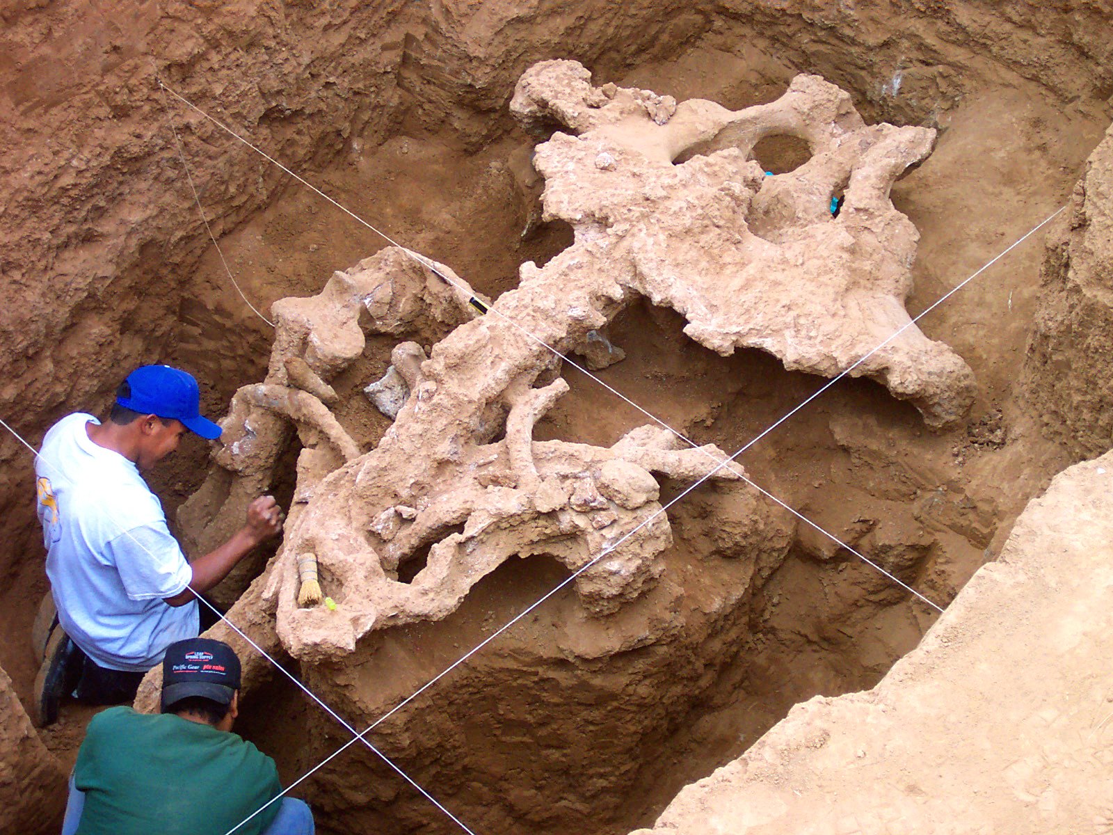 two men working on a piece of art that looks like a skeleton