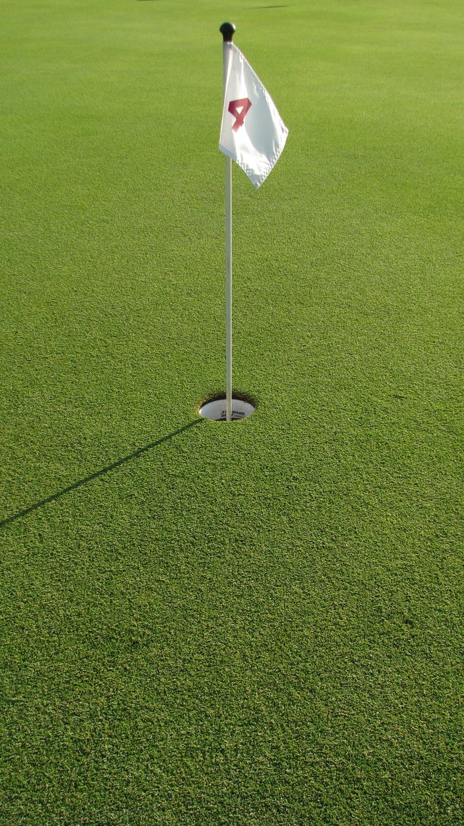 an image of a golf hole with flags