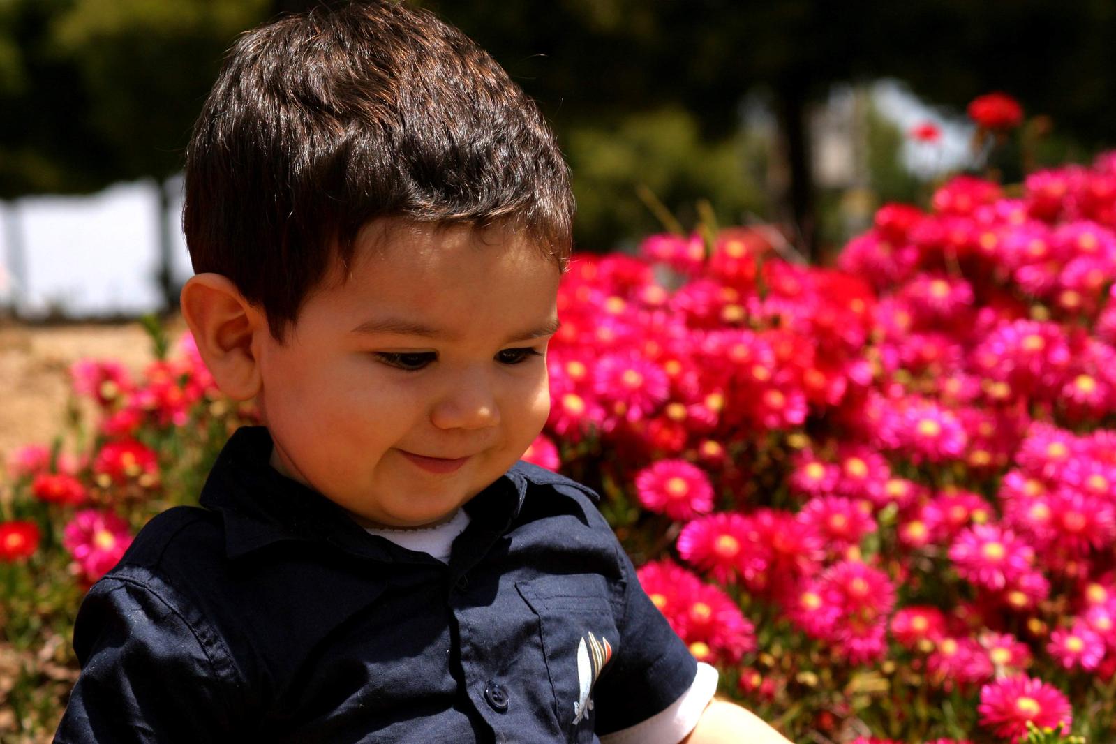 a small boy wearing a black and white polo shirt with a flower garden in the background