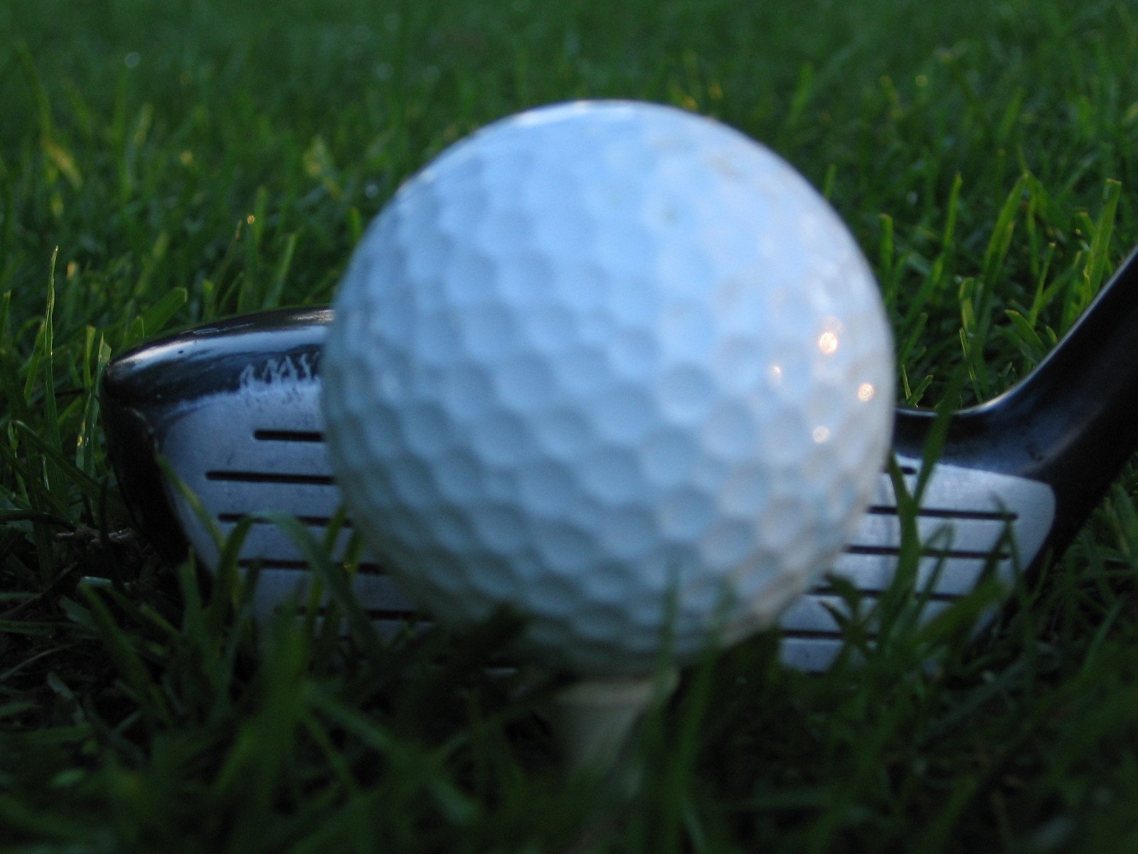 the golf ball is next to a putter's club