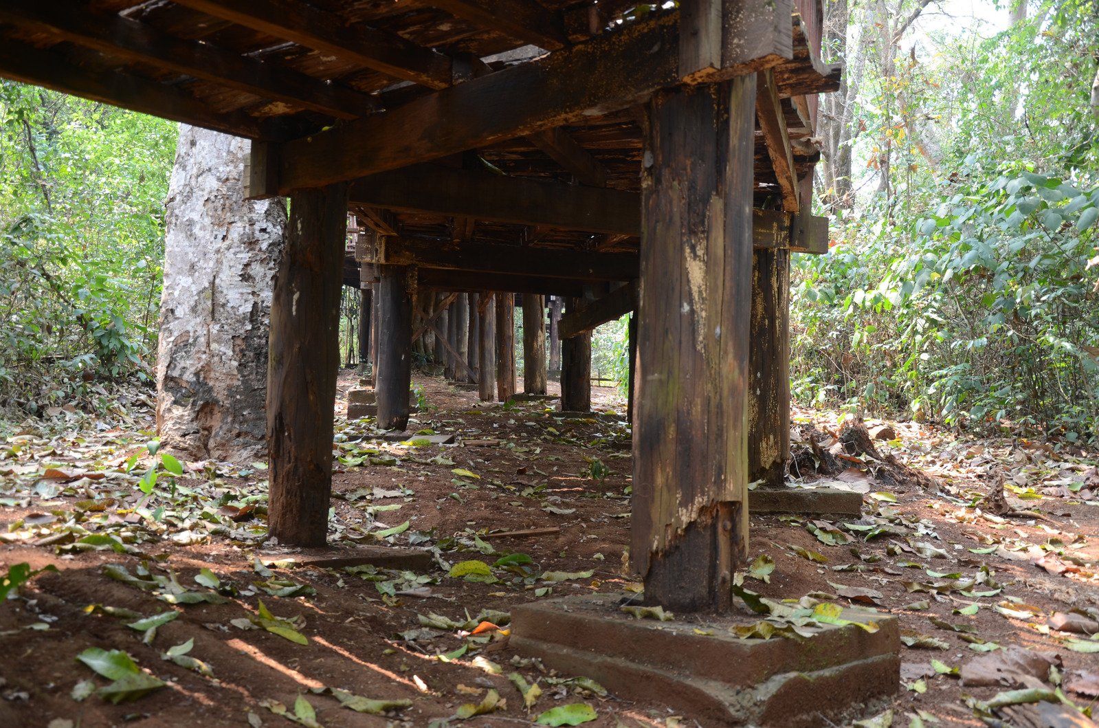 the porches on the underside of a shelter are not visible