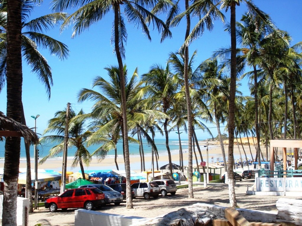 many cars are parked on the sandy beach