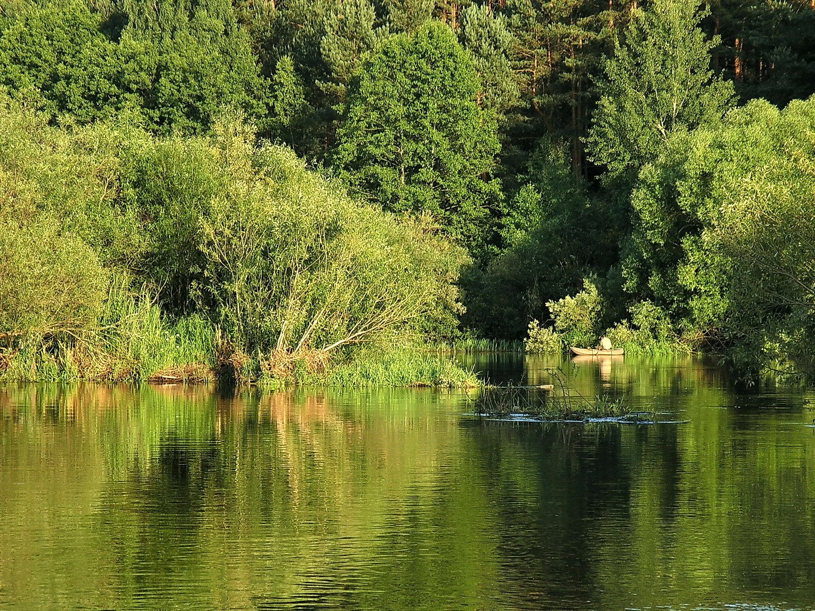 a tree lined river with trees reflecting on it