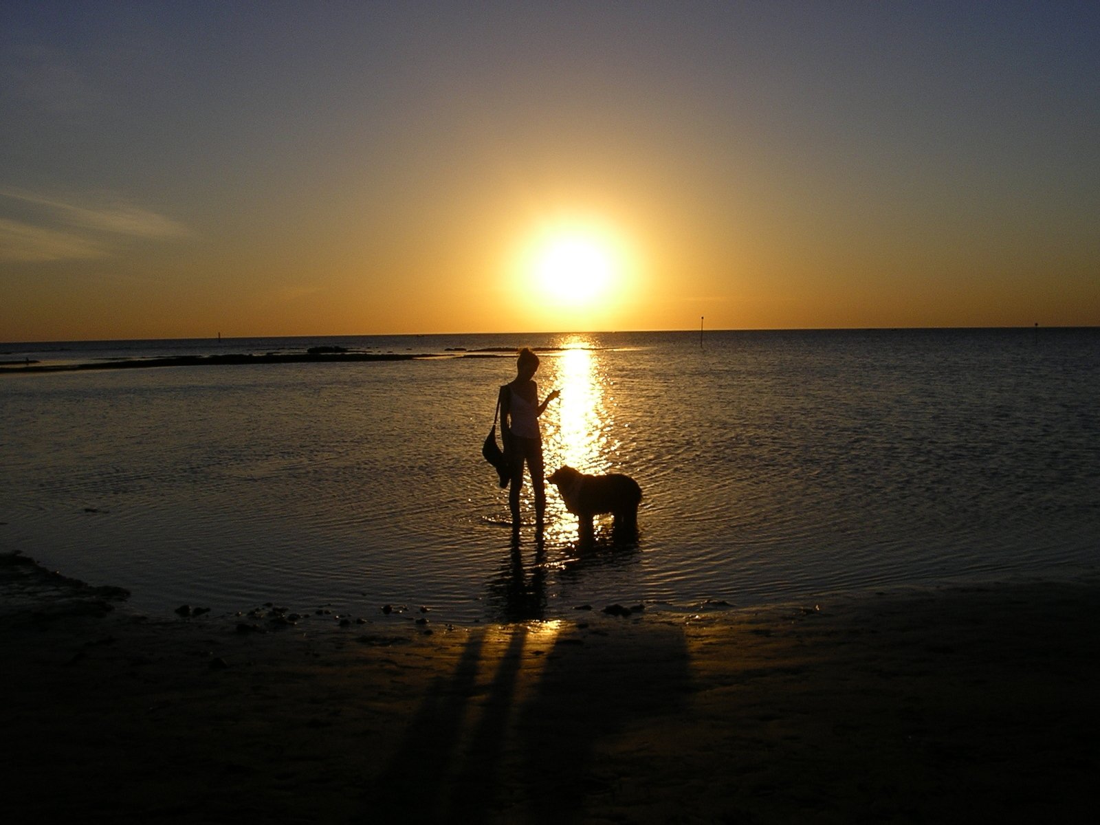 a couple with their dog stand on the beach at sunset