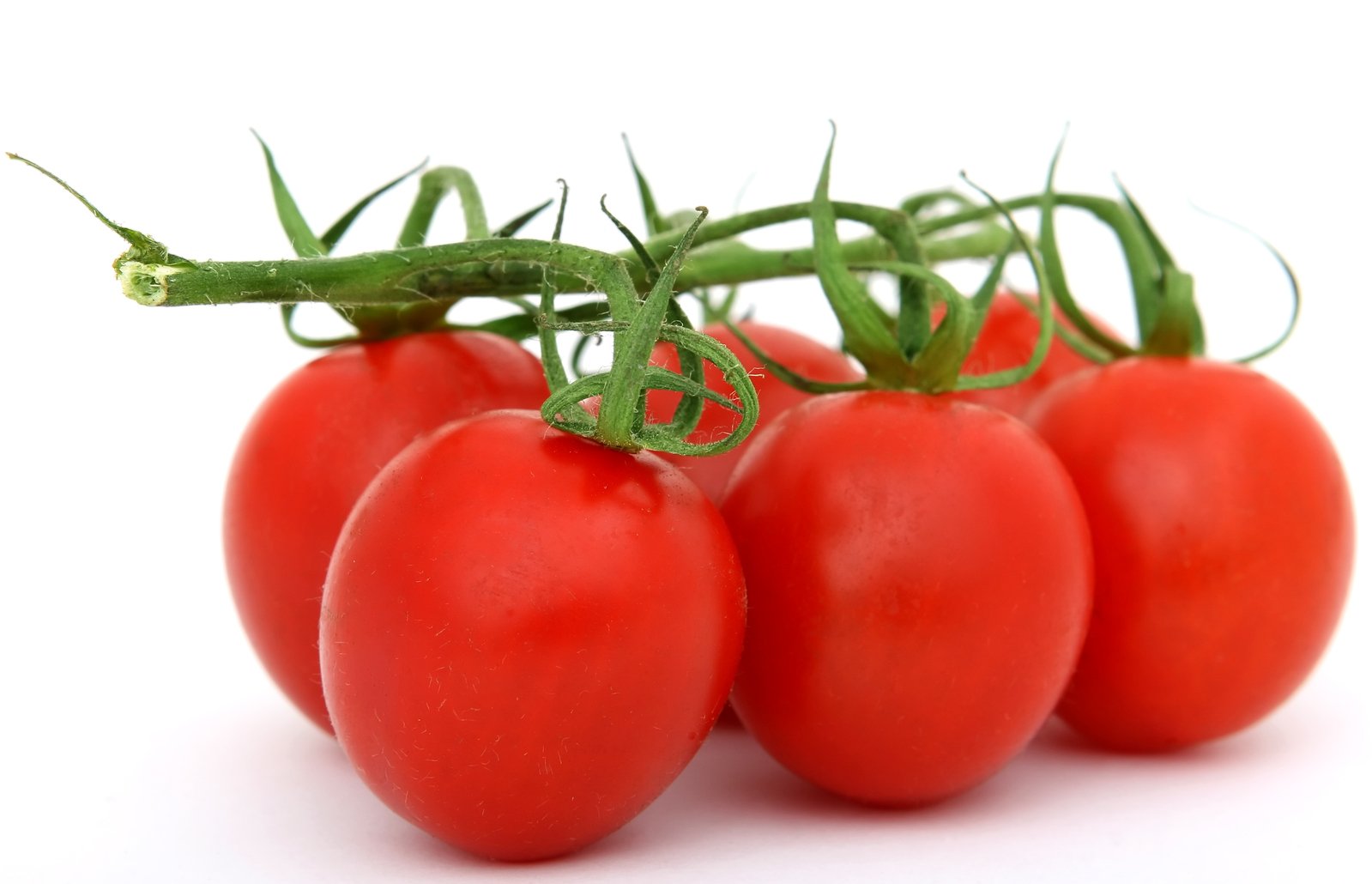 four tomatoes hanging off of a stem with small green leaves