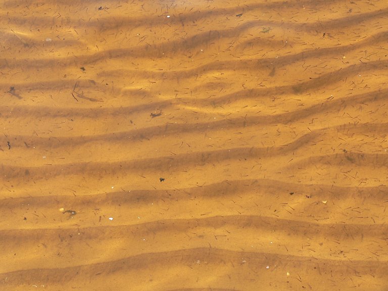 a large amount of sand covered by little debris