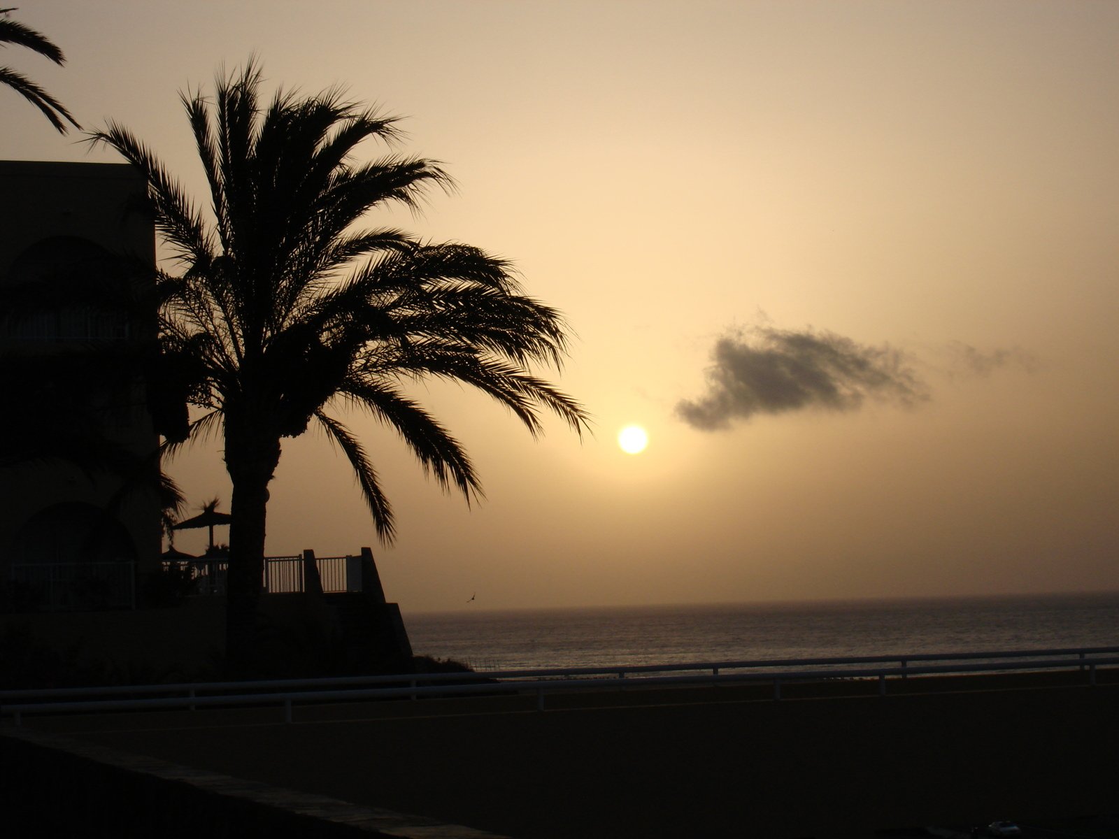 the sun is setting over the ocean and palm trees