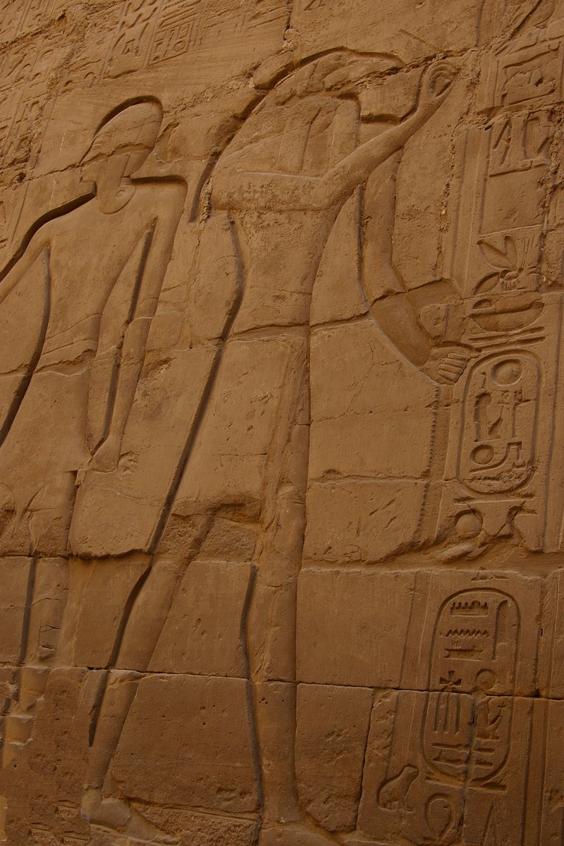the hieroglyphic carvings in the wall have egyptian writing on them
