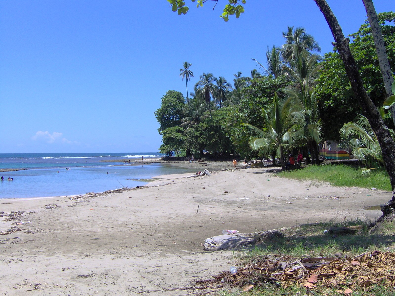 a beach is shaded by green trees and water