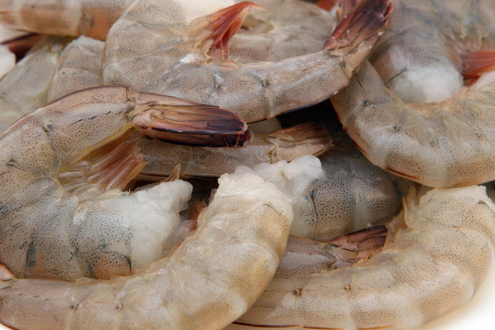 a group of shrimp sit together on a white surface