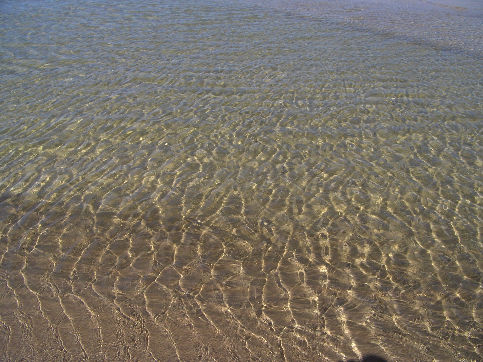 a sandy shore at the edge of the water