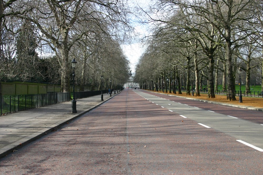 a long tree lined avenue in a city