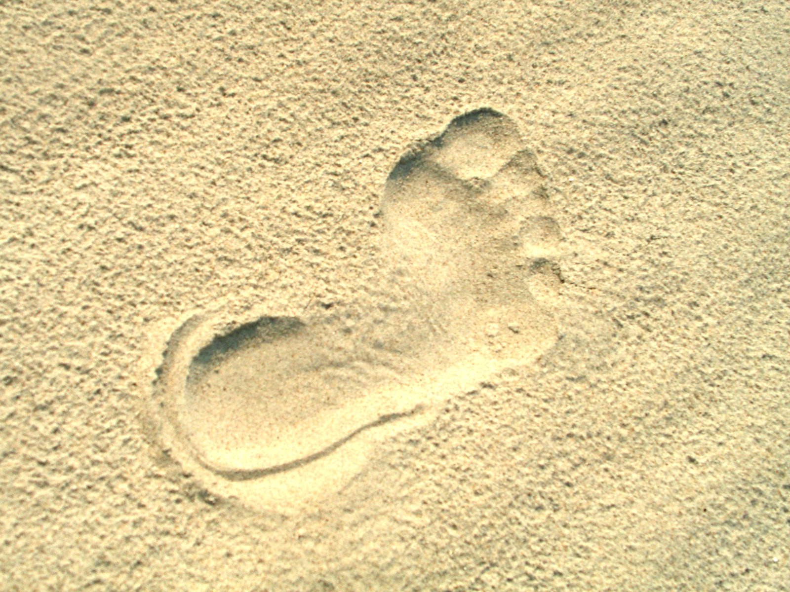 an image of a human foot prints on sand