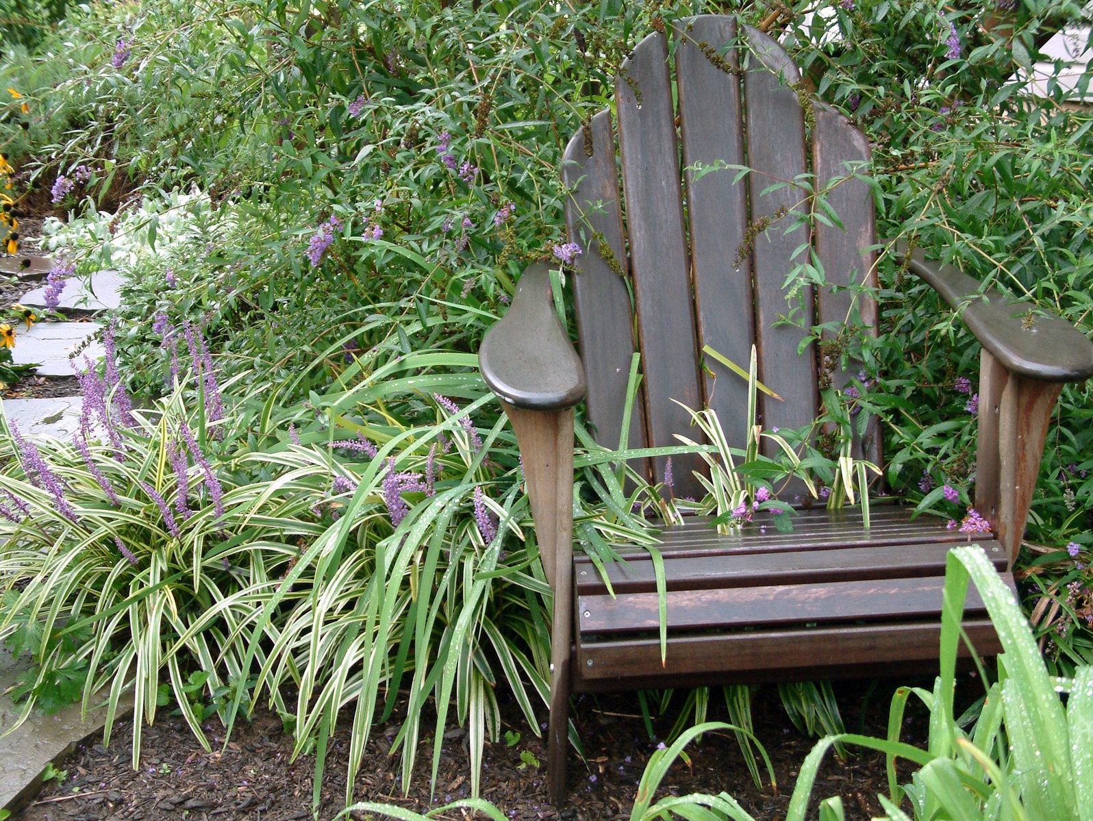 a chair sitting in the middle of a garden