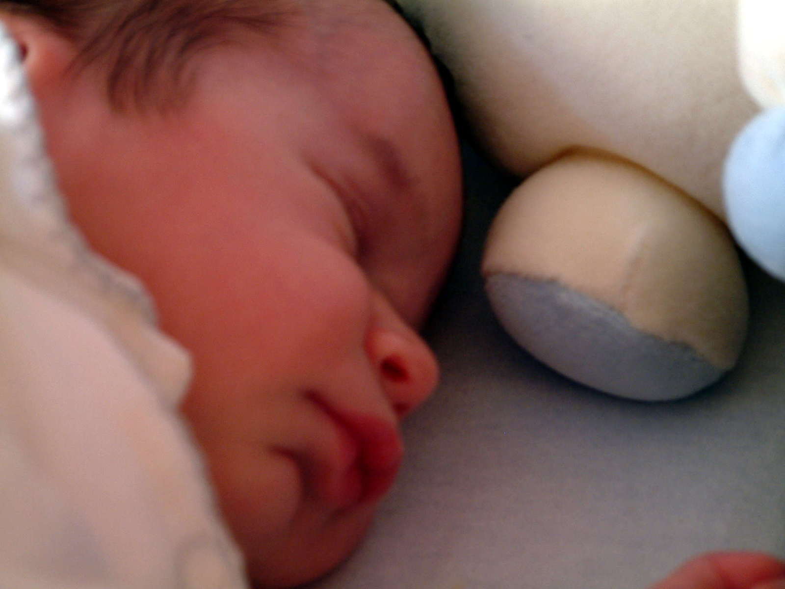 a baby sleeping in a crib next to a stuffed animal