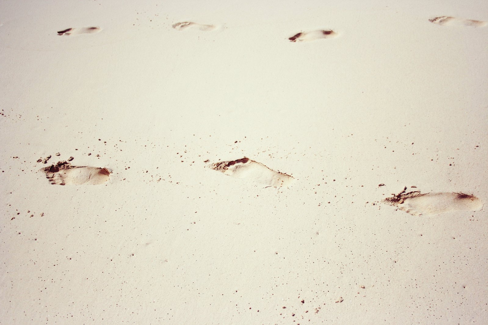 a pair of footprints walking along the beach