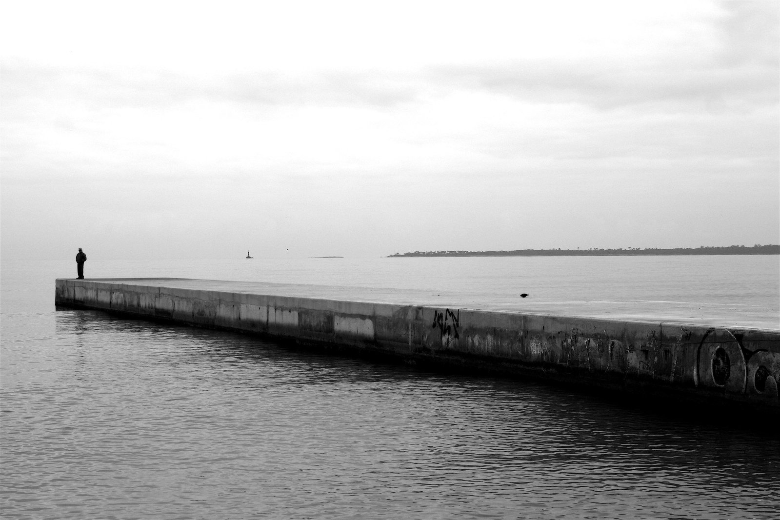 a person standing on a pier overlooking a body of water