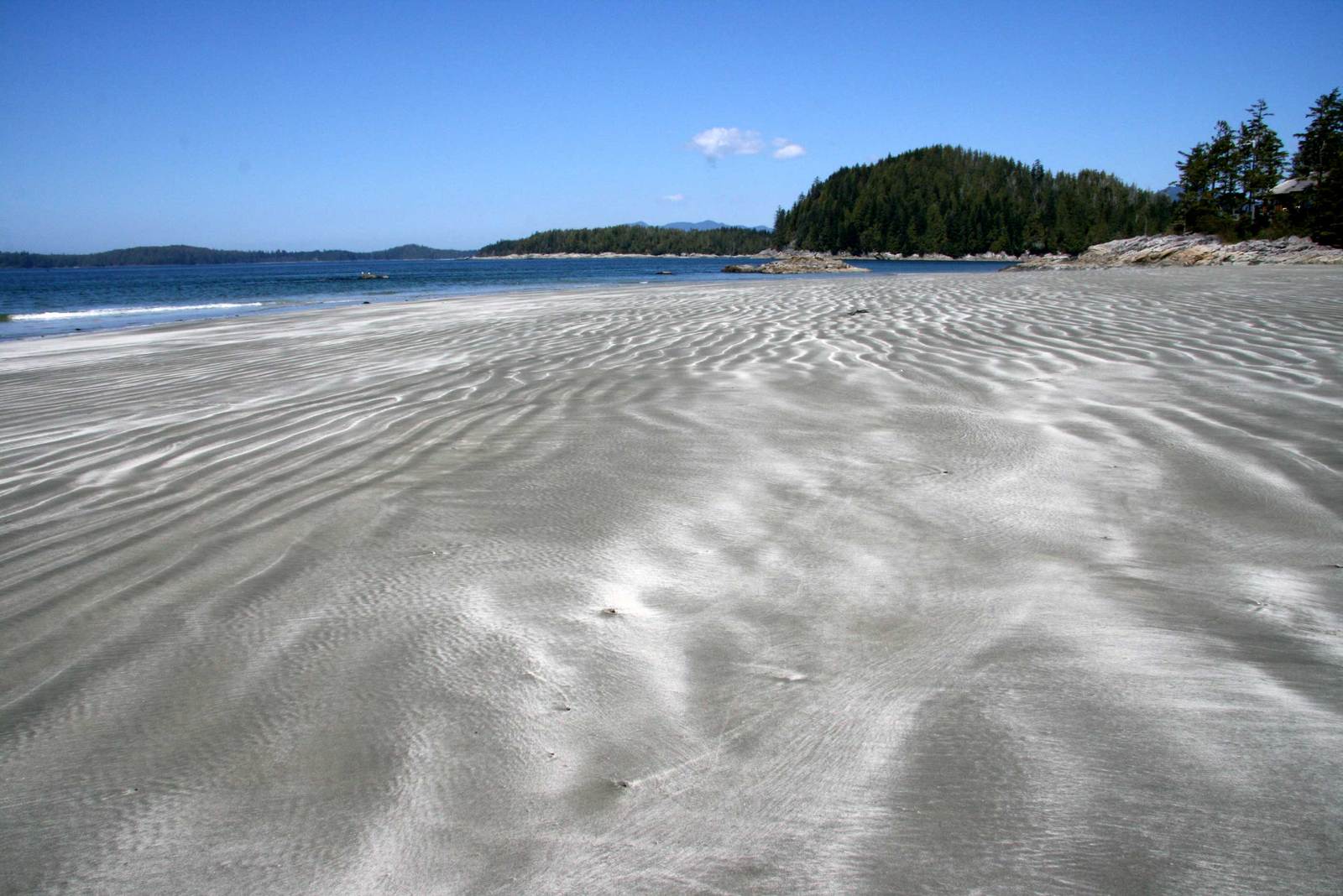 the sand and water is very wide by the trees