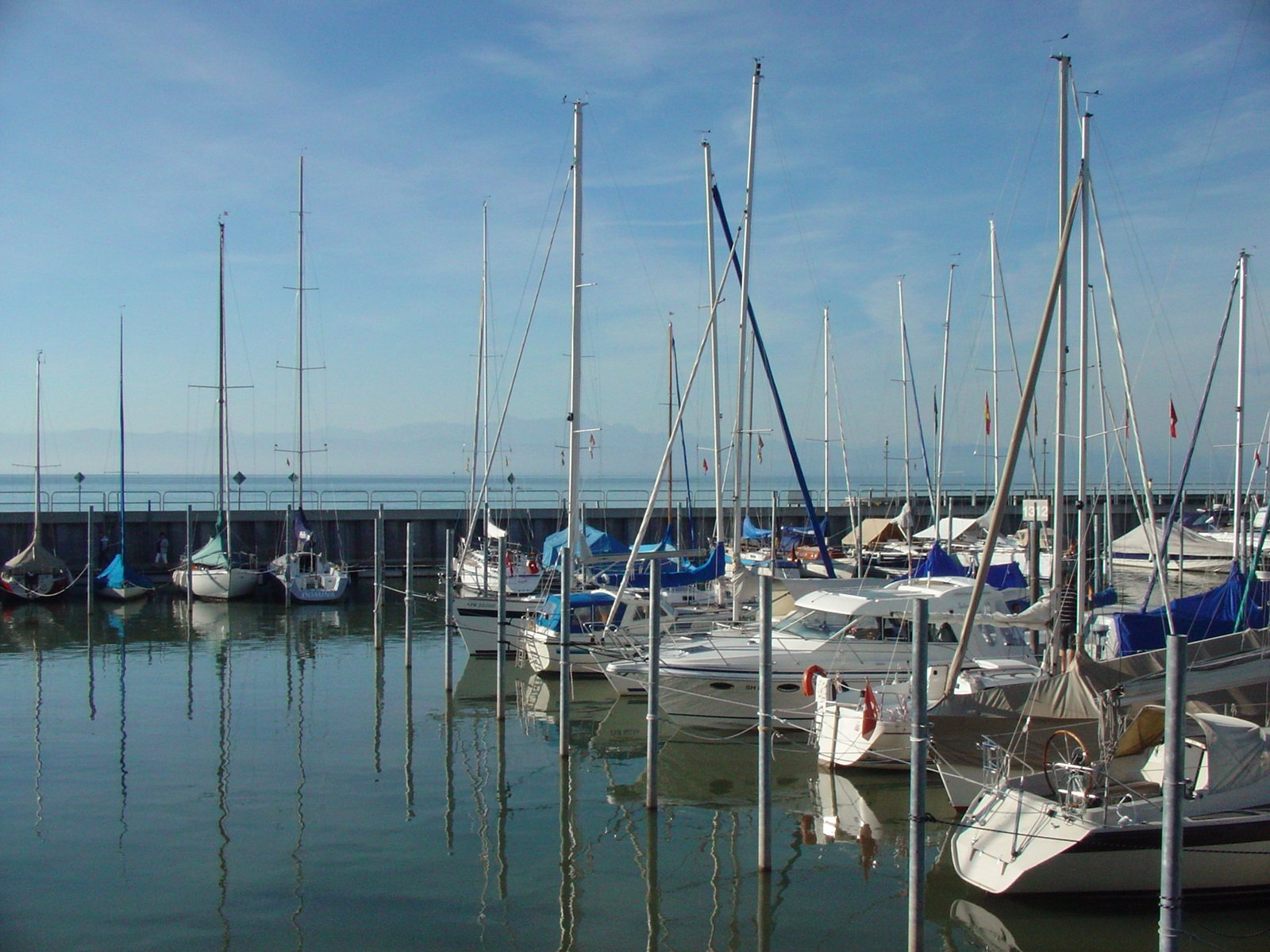 a marina filled with lots of white boats