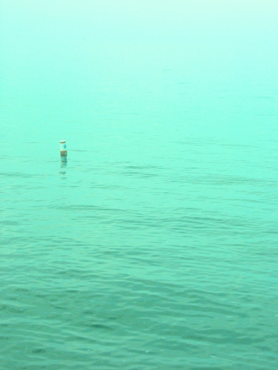 a lone water swimmer in the middle of a large body of water