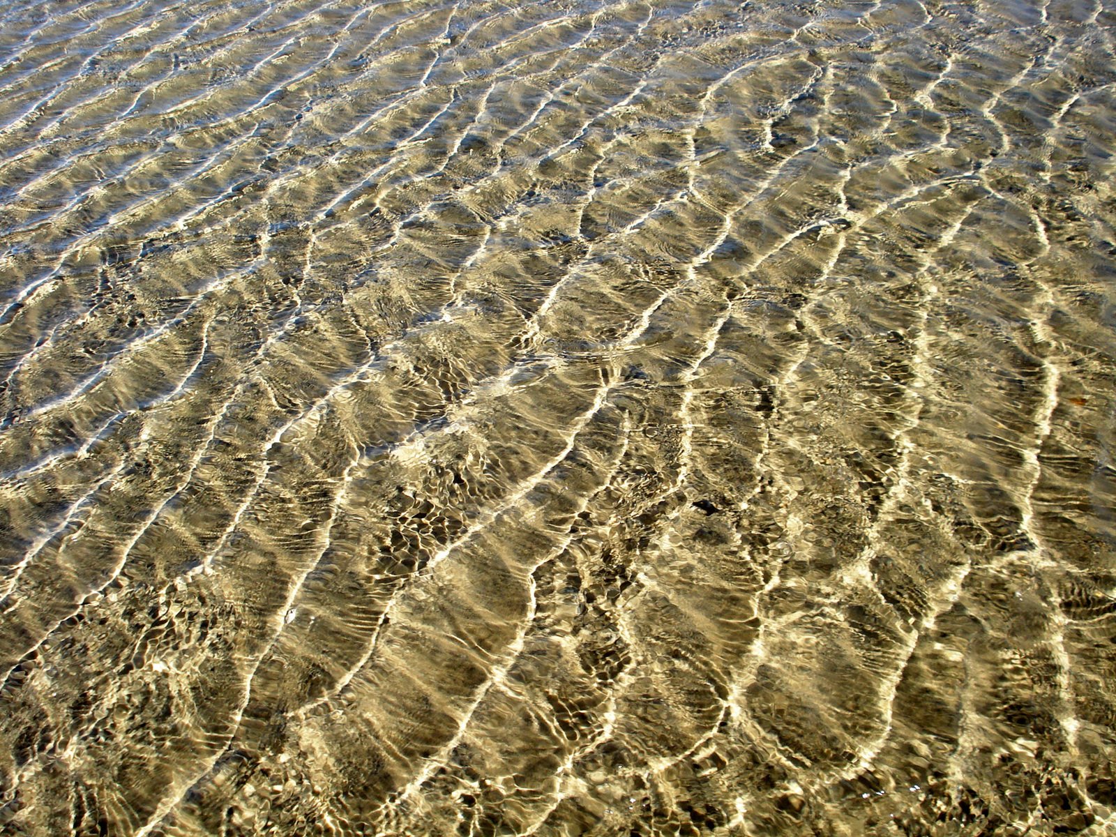 ripples and lines formed by waves on the water